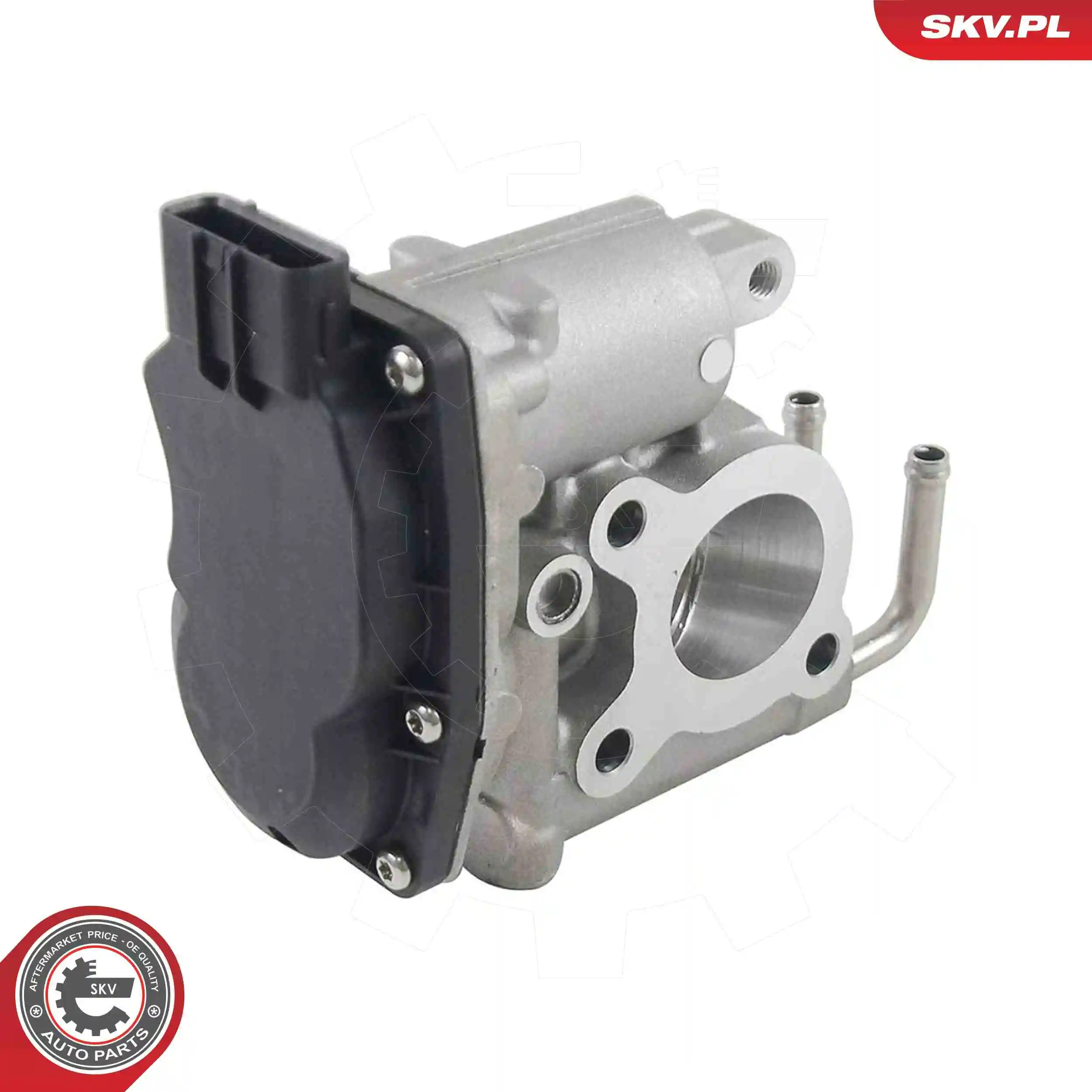 EGR Valve